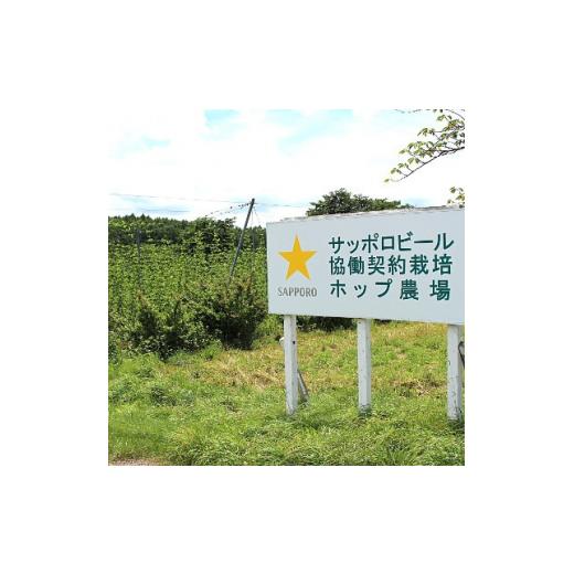 ふるさと納税 岩手県 軽米町 ＜軽米町産ホップ使用＞サッポロ生ビール黒ラベル350ml缶×48本【1080076】 