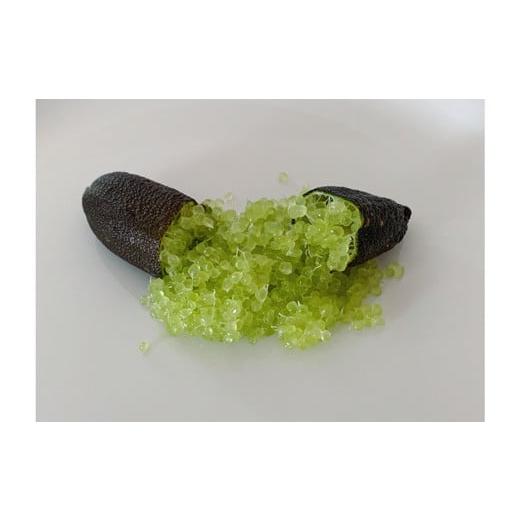 ふるさと納税 みかん・柑橘類 高知県 宿毛市 キャビアライム100g