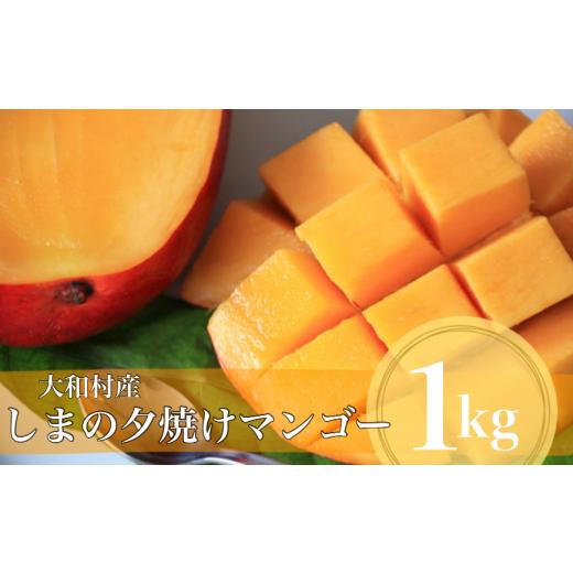 ふるさと納税 マンゴー 鹿児島県 大和村 数量限定 7/25まで しまの夕焼け マンゴー 1kg トロピカルフルーツ 濃厚完熟 フルーツ 産直 贈答 奄美大島 大和村