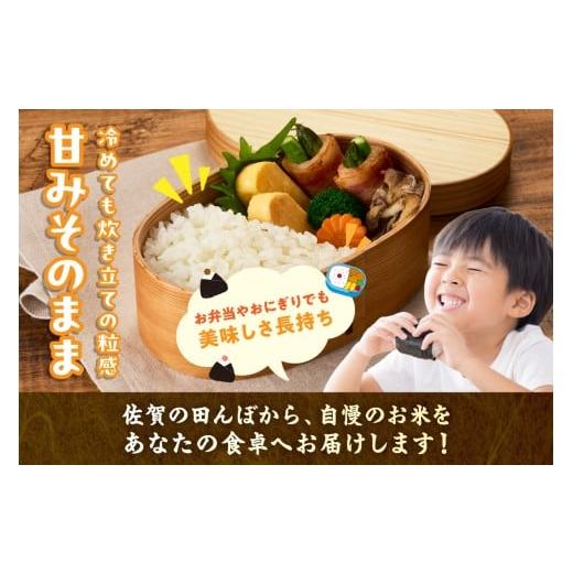ふるさと納税 米 さがびより 佐賀県 伊万里市 令和7年産 定期便 《無洗米》さがびより 5kg×3回 999-B909_5