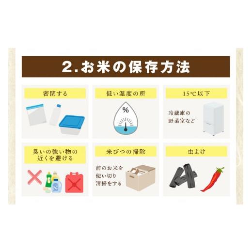 ふるさと納税 米 佐賀県 伊万里市 令和7年産 定期便 《無洗米》 夢しずく 5kg×3回 999-B904_4