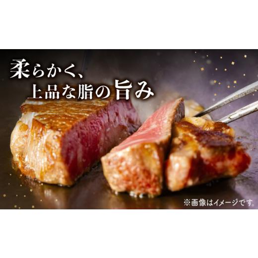 ふるさと納税 牛肉 ヒレ 長崎県 西海市  6回定期便 ヒレ ステーキ 長崎和牛 約450g （ 3枚 ） 西海市 ヒレステーキ ヒレ ひれ ステーキ 和牛 長崎和牛 株式会…_6