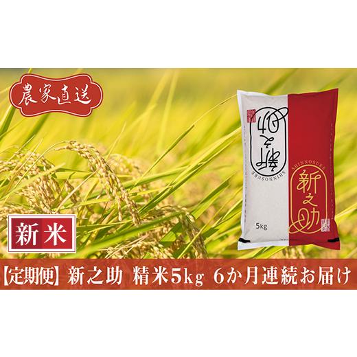 ふるさと納税 米 新潟県 長岡市 J8-7S056 6ヶ月連続お届け 新潟県長岡産 新之助 5kg