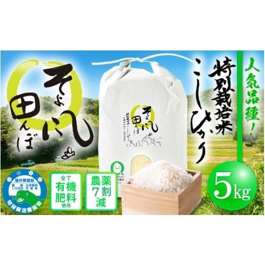 ふるさと納税 米 コシヒカリ 福井県 越前町 令和7年産 特別栽培米 コシヒカリ 5kg 福井県産米(有機肥料100% 農薬7割減)「そよ風田んぼ」 令和7年産 人気品種…