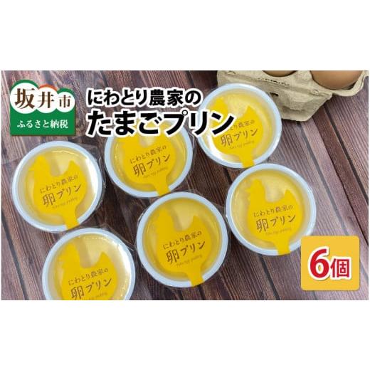 ふるさと納税 福井県 坂井市 レストラン・カフェリリーで大人気!にわとり農家のたまごプリン 6個セット [A-4924]