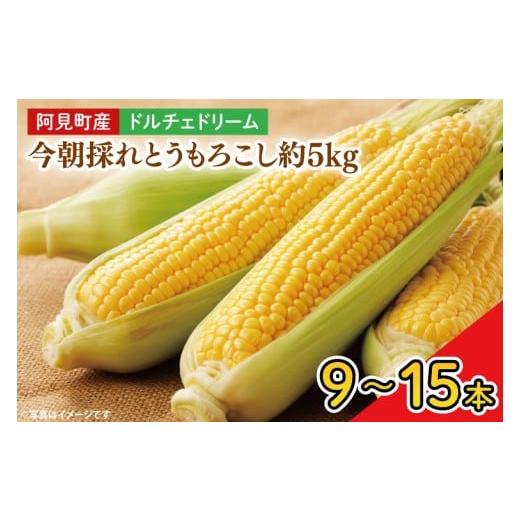 ふるさと納税 とうもろこし 茨城県 阿見町 先行予約 阿見町産 今朝採れとうもろこし約5kg(ドルチェドリーム・9本〜15本) 茨城県 阿見町 国産 甘い 朝採り …