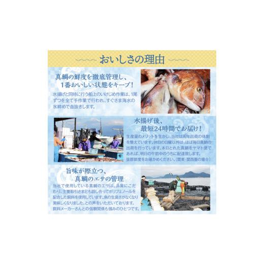 ふるさと納税 乾物 静岡県 沼津市 真鯛 干物 4袋 個包装 小分け ひもの 詰め合わせ セット マルセイ水産 タイ マダイ 鯛 ひもの 国産 美味しい 静岡 沼津 静岡…_4