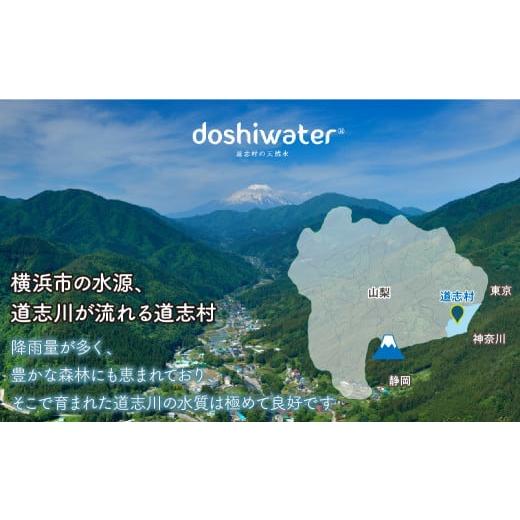 ふるさと納税 水・ミネラルウォーター 山梨県 道志村  定期便 山梨　道志村の天然水 doshiwater BIB40L(10L×2箱×2セット)　大好評の大容量サイズ2セット 5回…_2