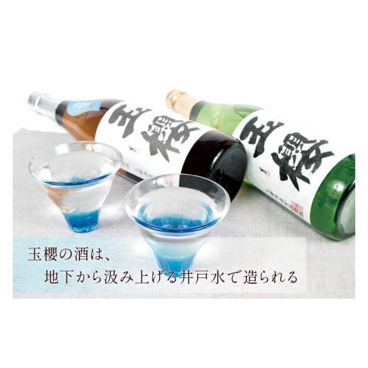 ふるさと納税 日本酒 純米酒 島根県 邑南町 悠々燗々純米酒 180ml×30個の画像