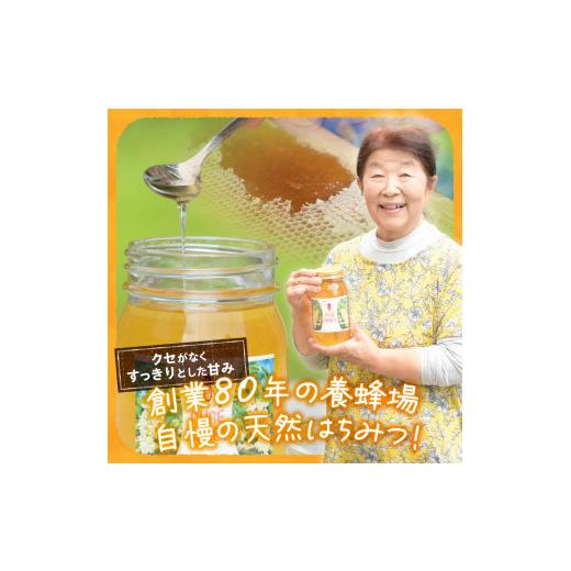 ふるさと納税 加工品等 はちみつ 山梨県 北杜市 天然アカシヤハチミツセット(500g×2) はちみつ 国産 アカシヤ 天然 アカシヤ ハチミツ 2本 1kg 水あめ不使用…の画像