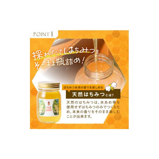 ふるさと納税 加工品等 はちみつ 山梨県 北杜市 天然アカシヤハチミツセット(500g×2) はちみつ 国産 アカシヤ 天然 アカシヤ ハチミツ 2本 1kg 水あめ不使用…の画像