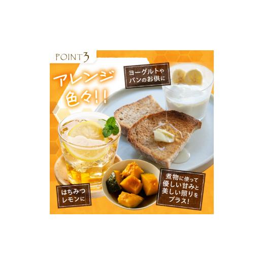 ふるさと納税 加工品等 はちみつ 山梨県 北杜市 天然アカシヤハチミツセット(500g×2) はちみつ 国産 アカシヤ 天然 アカシヤ ハチミツ 2本 1kg 水あめ不使用…の画像