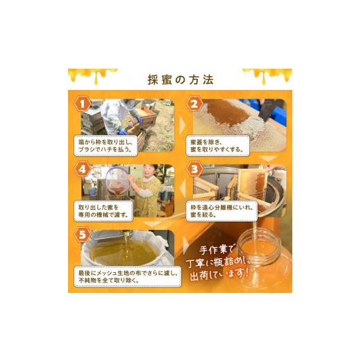 ふるさと納税 加工品等 はちみつ 山梨県 北杜市 天然アカシヤハチミツセット(500g×2) はちみつ 国産 アカシヤ 天然 アカシヤ ハチミツ 2本 1kg 水あめ不使用…の画像