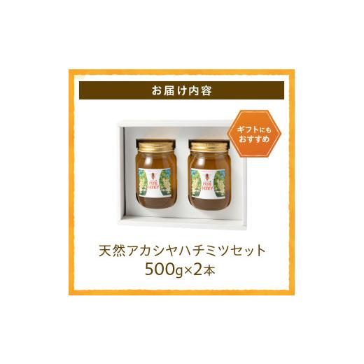ふるさと納税 加工品等 はちみつ 山梨県 北杜市 天然アカシヤハチミツセット(500g×2) はちみつ 国産 アカシヤ 天然 アカシヤ ハチミツ 2本 1kg 水あめ不使用…の画像
