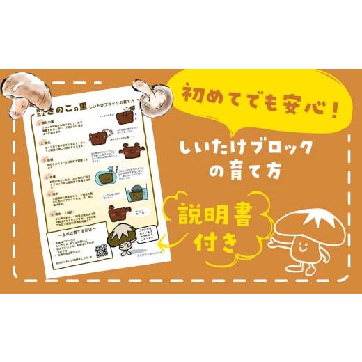 ふるさと納税 岐阜県 高山市 菌床椎茸栽培キット しいたけ シイタケ 椎茸 栽培キット  栽培 菌床 しいたけ菌 椎茸菌   a690｜furusatochoice｜03