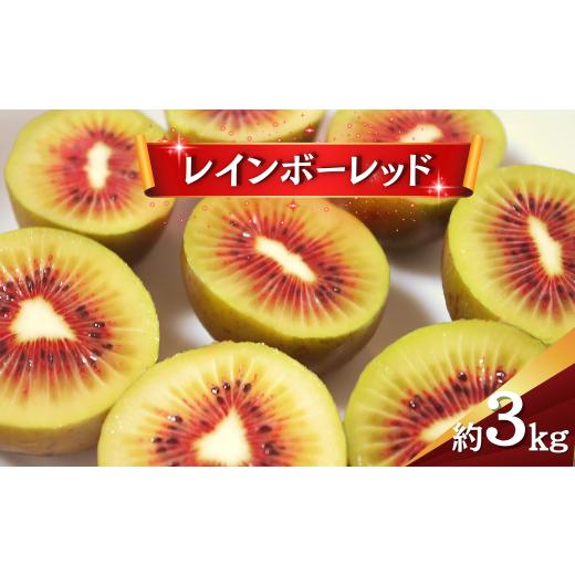 ふるさと納税 果物類 千葉県 船橋市 キウイ レインボーレッド 3kg キウイフルーツ キウイ 国産 ビタミンC 果物 フルーツ 数量限定 期間限定 フルーツ 果物 食…