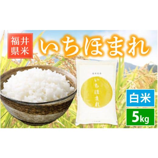 ふるさと納税 米 福井県 越前町 先行予約 新米 令和7年産「福井県ブランド米」 特A通算6回獲得 お米 いちほまれ 5kg 福井県産 白米 2025年11月より順次発送 …