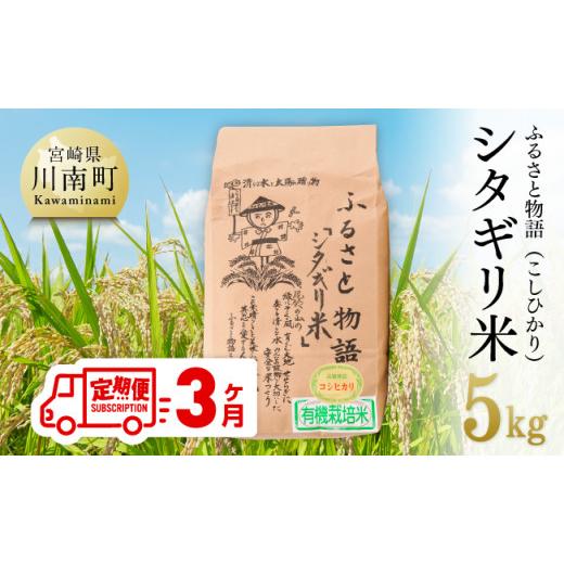 ふるさと納税 宮崎県 川南町 【３ヶ月定期便】宮崎県産こしひかり「シタギリ」5kg【 お米 新米 2023年産 定期便 全3回 】 5kg