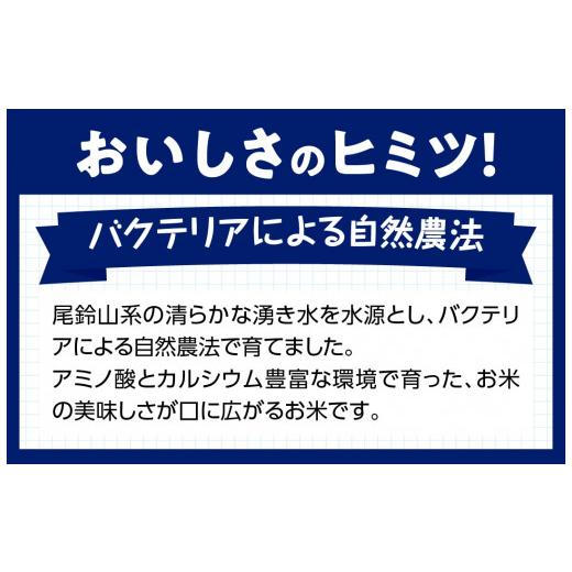 ふるさと納税 宮崎県 川南町 【３ヶ月定期便】宮崎県産こしひかり「シタギリ」5kg【 お米 新米 2023年産 定期便 全3回 】 5kg