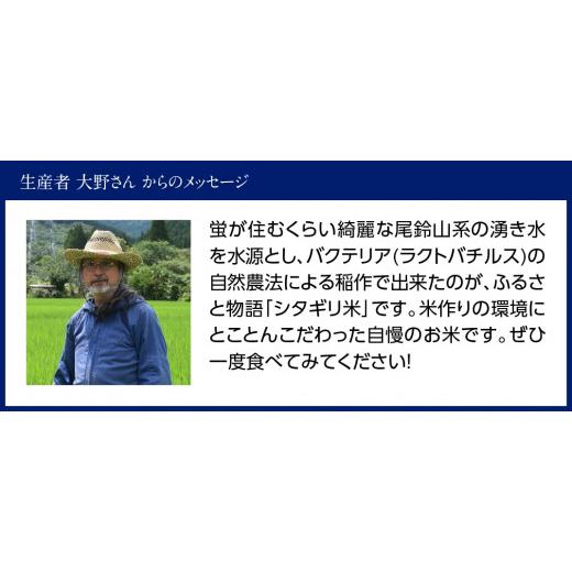 ふるさと納税 宮崎県 川南町 【３ヶ月定期便】宮崎県産こしひかり「シタギリ」5kg【 お米 新米 2023年産 定期便 全3回 】 5kg