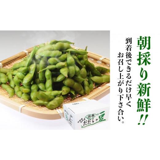 ふるさと納税 山形県 鶴岡市 【令和6年産先行予約】鶴岡特産 だだちゃ豆 2kg(500g×4袋)　山形県鶴岡市　成澤農園　A06-629｜furusatochoice｜03