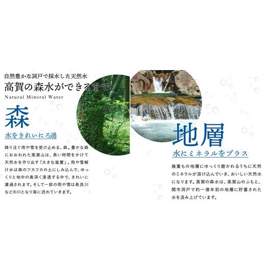 ふるさと納税 水・ミネラルウォーター 500mL〜999mL 岐阜県 関市 高賀の森水 5年保存水 48本（500ml24本入×2ケース） 〜非常用 災害対策 モンドセレクション…の画像