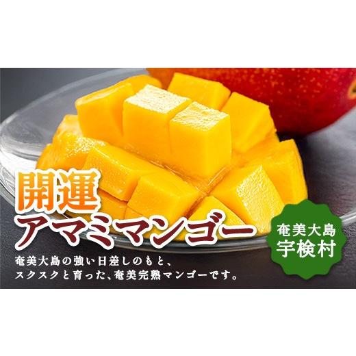 ふるさと納税 マンゴー 鹿児島県 宇検村 受付開始 数量限定 開運奄美マンゴー 1kg 完熟 冷蔵 アップルマンゴー 特秀品/秀品 混合 奄美 大島 宇検村 鹿児島県…