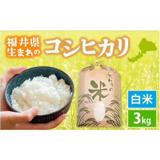 ふるさと納税 米 コシヒカリ 福井県 越前町 新米 令和7年産 コシヒカリ 3kg 福井県産 白米 お米 こめ 米 コメ 精米 こしひかり 3キロ 人気品種 e30-a095