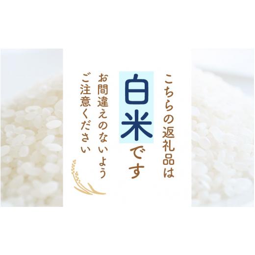 ふるさと納税 福井県 越前町 [e30-a049] コシヒカリ 3kg 令和5年 福井県産【白米】【お米 こしひかり 3キロ 人気品種】｜furusatochoice｜03