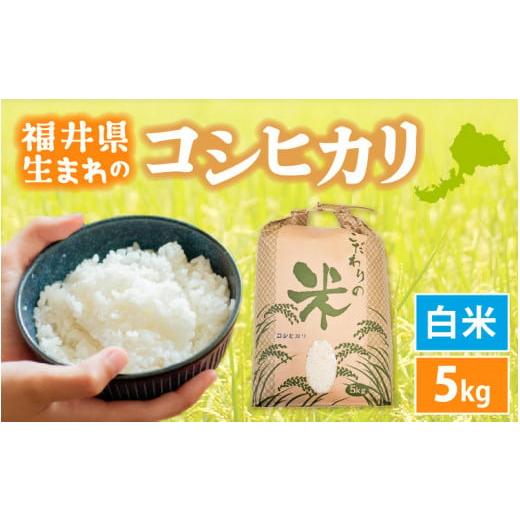 ふるさと納税 米 コシヒカリ 福井県 越前町 新米 令和7年産 コシヒカリ 5kg 福井県産 白米 お米 こめ 米 コメ 精米 こしひかり 5キロ 人気品種 e30-a097