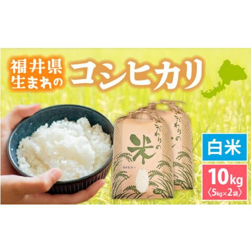 ふるさと納税 米 コシヒカリ 福井県 越前町 新米 令和7年産 コシヒカリ 10kg 福井県産 白米 お米 こめ 米 コメ こしひかり 10キロ 精米 人気品種 e30-c014