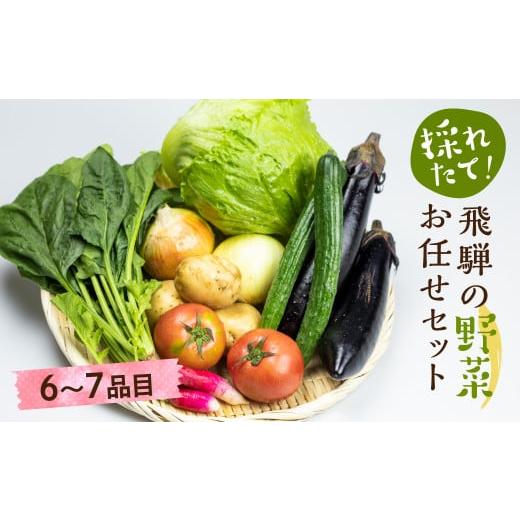 ふるさと納税 岐阜県 高山市 [2024年予約受付]飛騨 野菜セット 6〜7点 飛騨高山産 野菜 秋野菜 おまかせ お取り寄せ 新鮮 産地直送 飛騨産 夏 秋 秋野菜 …