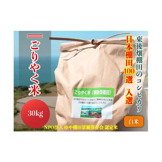ふるさと納税 米 コシヒカリ 山口県 長門市 令和7年度産 ごりやく米 東後畑棚田こしひかり白米 30kg 棚田米 長門市 コシヒカリ こしひかり