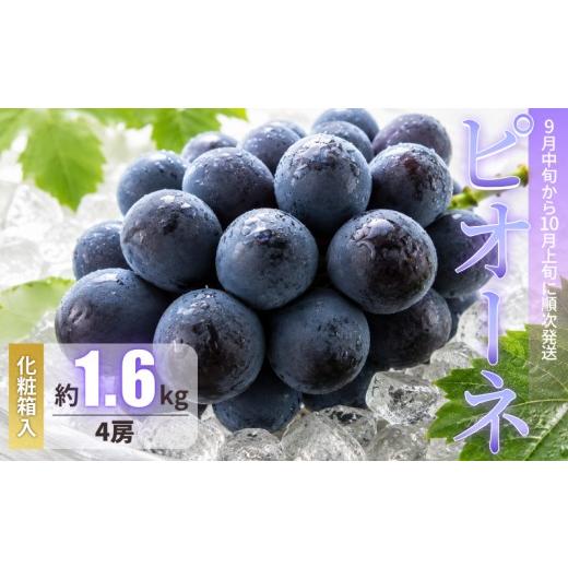 ふるさと納税 果物類 ぶどう 岡山県 新見市 ピオーネ 岡山 約1.6kg 4房 新見 先行予約 2026年9月中旬〜10月上旬発送 約1.6kg 4房
