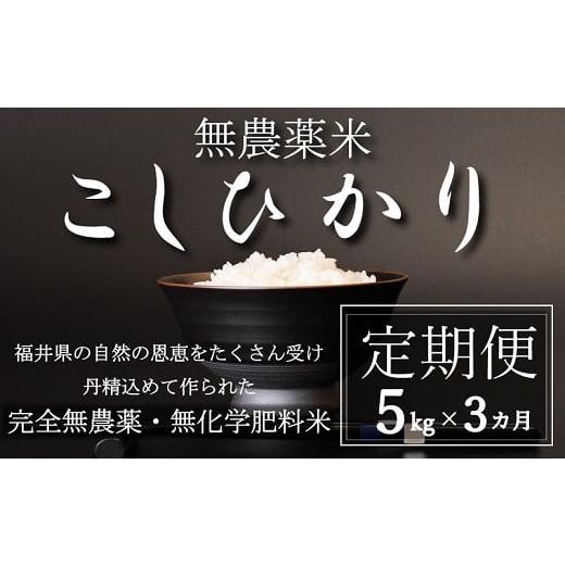 ふるさと納税 米 コシヒカリ 福井県 越前市 [令和7年産] 定期便3回 無農薬米5kg×3回(こしひかり)玄米 玄米