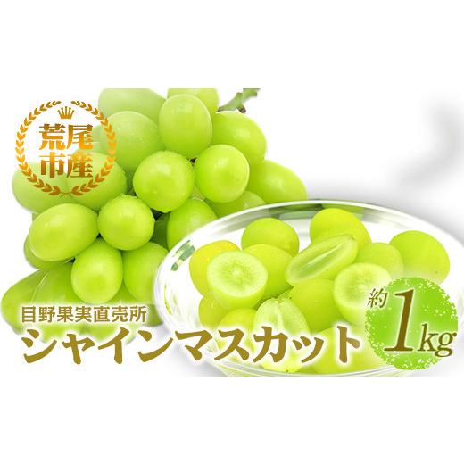 ふるさと納税 ぶどう マスカット 熊本県 荒尾市 シャインマスカット 目野果実直売所の シャインマスカット 約 1kg フルーツ 果物 新鮮 マスカット 旬 デザート…