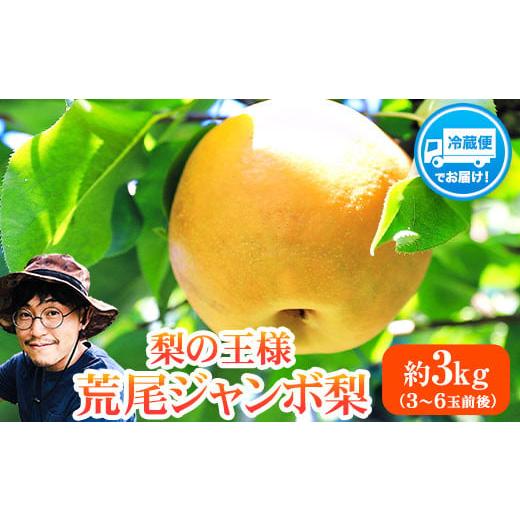 ふるさと納税 梨 熊本県 荒尾市 2026年 先行予約 梨 新高 ジャンボ梨 ( 新高梨 ) 約 3kg (3〜6玉前後) なし 荒尾梨 にいたか フルーツ 果物 デザート 旬 熊本…