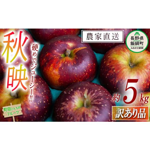 ふるさと納税 りんご 長野県 飯綱町 りんご 秋映 訳あり 5kg 沖縄県への配送不可 2064年9月下旬頃から2026年10月下旬頃まで順次発送予定 町田さんちのりんご …