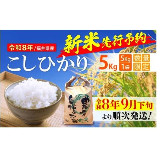 ふるさと納税 玄米 福井県 越前町 令和8年産新米・先行予約 こしひかり 5kg 令和8年 福井県産(玄米) 令和8年9月下旬より順次発送 e35-a048_02 玄米 こしひ…