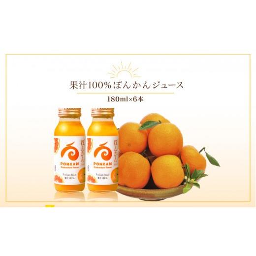 ふるさと納税 果汁飲料 高知県 東洋町 ぽんかんジュース180ml 6本入り 国産 東洋町産 果汁100% フレッシュジュース 酸味 着色料保存料不使用 四国 お取り寄せ …