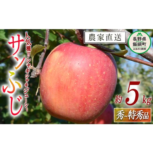 ふるさと納税 りんご 長野県 飯綱町 りんご サンふじ 秀 〜 特秀 5kg 山岸ファーム 沖縄県への配送不可 2026年12月上旬頃から2026年12月下旬頃まで順次発送予…