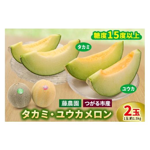 ふるさと納税 メロン メロン青肉 青森県 つがる市 メロン タカミ ユウカ 2玉セット|つがる市産 青森産 産直 2026年産 令和8年 夏 めろん 果物 フルーツ 旬 特…