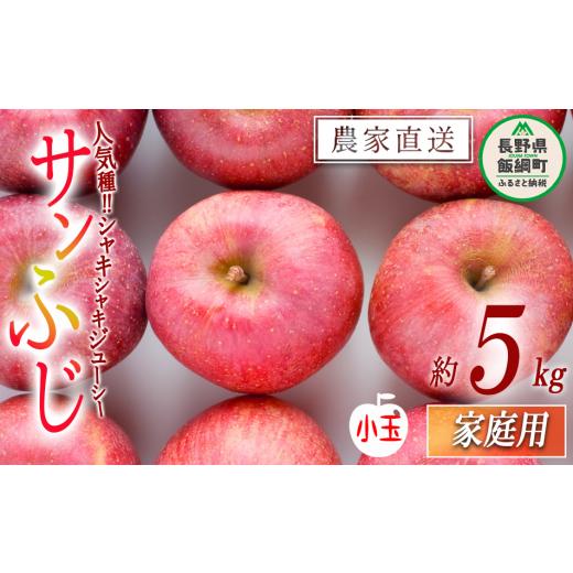 ふるさと納税 りんご 長野県 飯綱町 りんご サンふじ 家庭用 ( 小玉 ) 5kg 山岸ファーム 沖縄県への配送不可 2026年12月上旬頃から2026年12月下旬頃まで順次発…