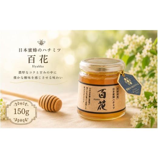 ふるさと納税 はちみつ・砂糖 宮城県 美里町 日本蜜蜂のハチミツ（150g