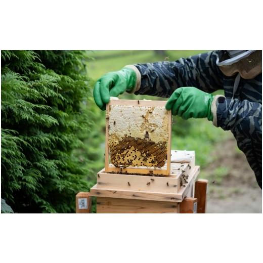 ふるさと納税 はちみつ・砂糖 宮城県 美里町 日本蜜蜂のハチミツ（150g