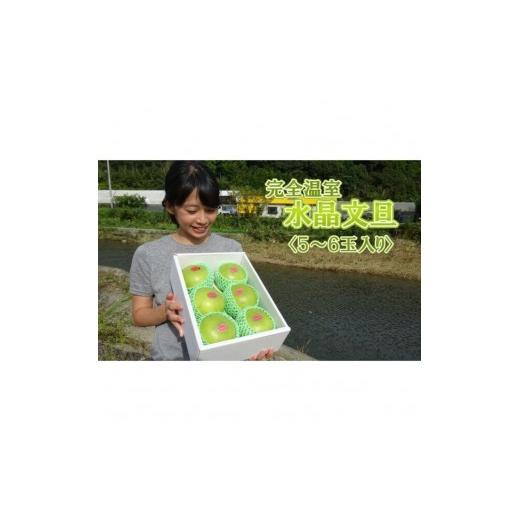 ふるさと納税 みかん・柑橘類 高知県 黒潮町 届いてすぐに食べられる 完熟 温室 水晶 文旦 5〜6玉 1404-3