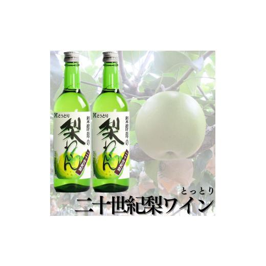 ふるさと納税 ワイン 鳥取県 湯梨浜町 139M.爽やか 『とっとり二十世紀梨わいん』2本セット