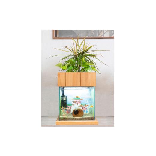 ふるさと納税 広島県 東広島市 水槽セット 30cm せせらぎビオトープ アクアリウム 照明 木枠台 魚