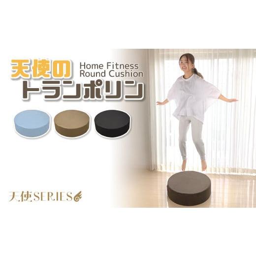 ふるさと納税 雑貨・日用品 愛知県 蒲郡市 G0318 天使のトランポリン クッション:配送情報備考 サイレントブラック サイレントブラック