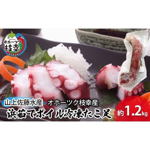 ふるさと納税 タコ 北海道 枝幸町 浜茹でボイル冷凍たこ足 約1.2kg[オホーツク枝幸産]山上佐藤水産 たこ タコ 脚 海鮮 魚貝類 北海道 オホーツク 枝幸